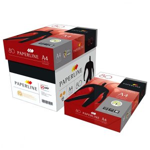 RAME DE PAPIER A3 PAPERLINE 80G
