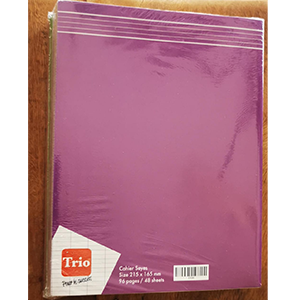 CAHIER TRIO L'INTELLECTUEL 100P