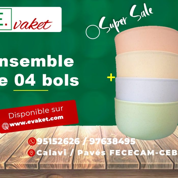 Ensemble de 04 bols